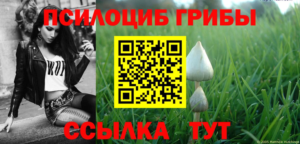 Псилоцибиновые грибы мухоморы  Вход с VPN  Шатура 